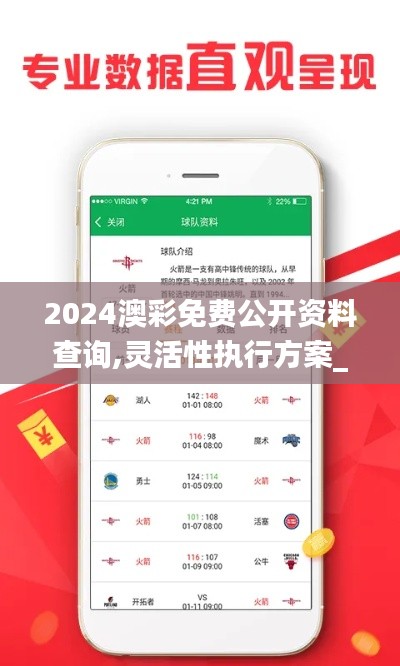 2024澳彩免费公开资料查询,灵活性执行方案_HYF92.233结合版