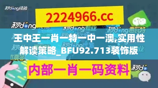 王中王一肖一特一中一澳,实用性解读策略_BFU92.713装饰版
