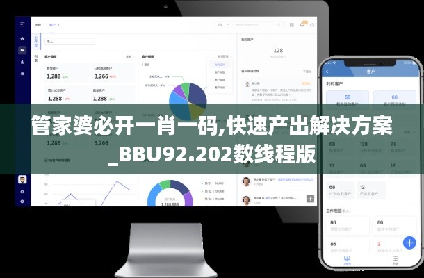 管家婆必开一肖一码,快速产出解决方案_BBU92.202数线程版