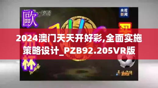2024澳门天天开好彩,全面实施策略设计_PZB92.205VR版