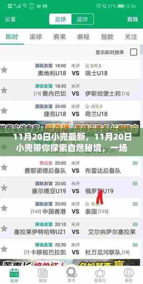 11月20日小兜带你探索自然秘境,心灵洗涤的奇妙之旅