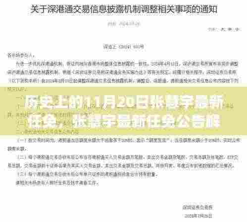 历史上的11月20日,张慧宇最新任免及其解读与操作指南