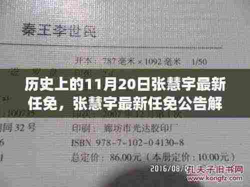 历史上的11月20日,张慧宇最新任免及其解读与操作指南
