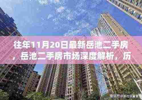 历年11月岳池二手房市场深度解析,最新房源一网打尽,深度探索岳池二手房市场趋势