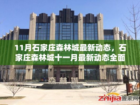 石家庄森林城十一月最新动态全面解析