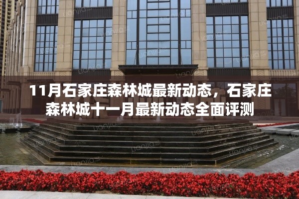 石家庄森林城十一月最新动态全面解析