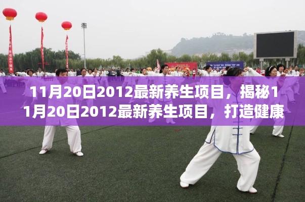 揭秘最新养生项目,引领健康生活新潮流(2012年11月20日)