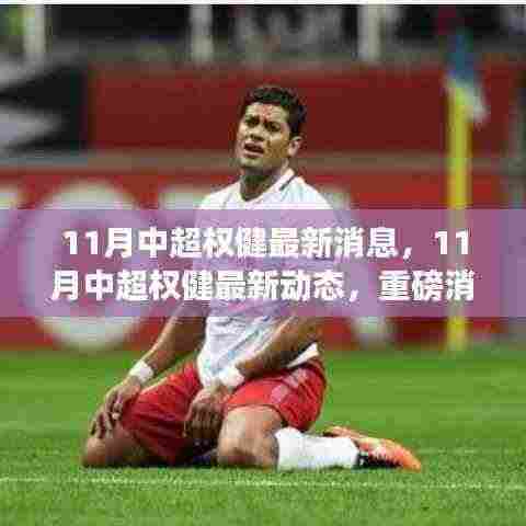 揭秘11月中超权健最新动态与重磅消息,未来展望