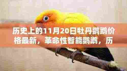 历史上的11月20日牡丹鹦鹉价格揭秘,科技奇迹背后的革命性智能鹦鹉诞生历程
