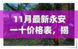 永安一十特色小店价格表揭秘,神秘宝藏探秘之旅