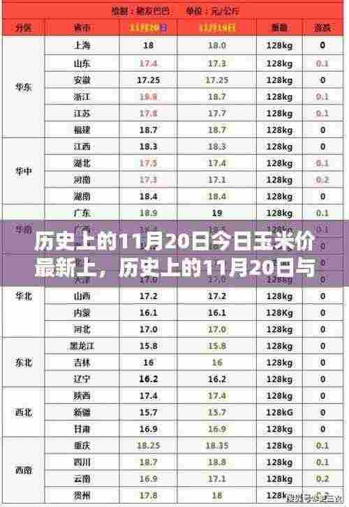 历史上的11月20日玉米价格走势分析，最新数据与趋势解析