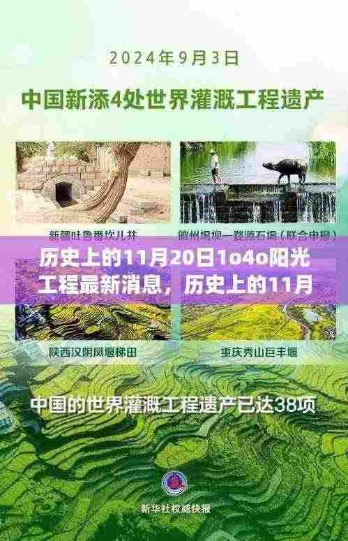 揭秘历史上的阳光工程进展,最新消息与进展揭秘(11月20日)