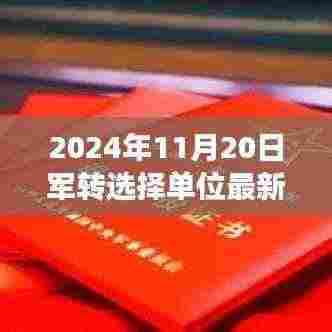 2024年军转选择单位最新排名，时代变迁下的影响分析
