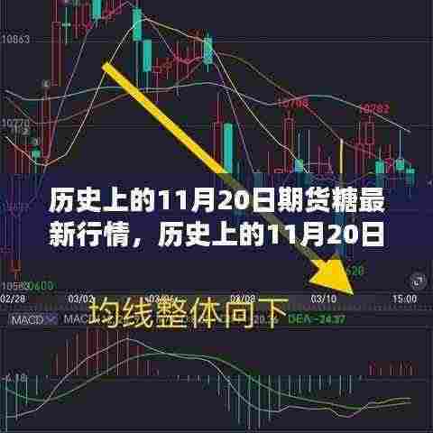 11月20日期货糖行情深度解析,从入门到进阶的全方位研究指南