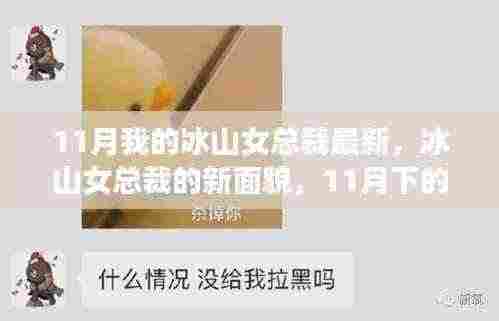 冰山女总裁的新面貌,多维度解析与深度观察(最新报道)