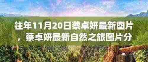 往年11月20日蔡卓妍最新图片，蔡卓妍最新自然之旅图片分享，探索自然美景，寻找内心平静的力量