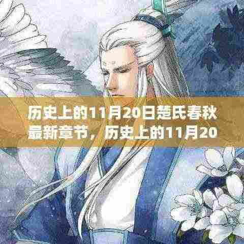 历史上的11月20日楚氏春秋最新章节,历史上的11月20日与楚氏春秋最新章节,多维度视角下的探讨