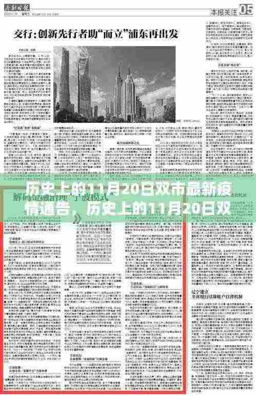 历史上的11月20日双市疫情通告详解,获取最新疫情信息的步骤