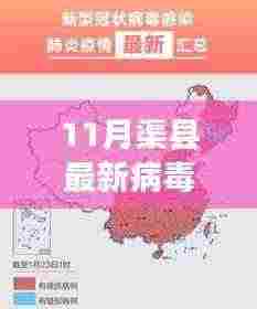 11月渠县最新病毒,评测报告,揭秘渠县最新病毒(11月版)——特性、体验、竞品对比及用户群体分析