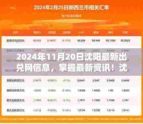 2024年11月20日沈阳最新出兑网信息,掌握最新资讯!沈阳出兑网信息查询全攻略(2024年11月版)