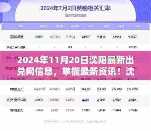 2024年11月20日沈阳最新出兑网信息,掌握最新资讯!沈阳出兑网信息查询全攻略(2024年11月版)