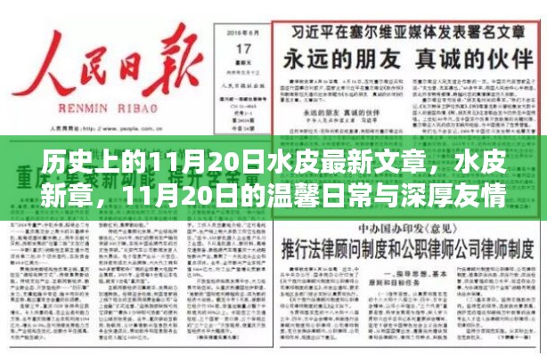 水皮最新文章揭秘,11月20日的温馨日常与深厚友情探索