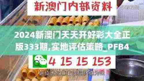 2024新澳门天天开好彩大全正版333期,实地评估策略_PFB4.28