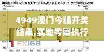 4949澳门今晚开奖结果,实地考察执行策略_真实版TYY9.16