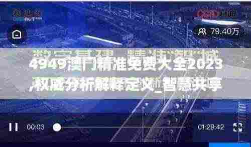 4949澳门精准免费大全2023,权威分析解释定义_智慧共享版PEX2.23