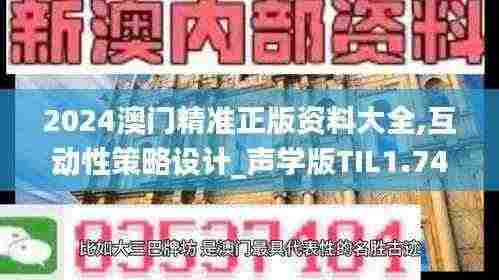 2024澳门精准正版资料大全,互动性策略设计_声学版TIL1.74