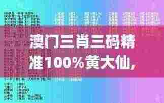 澳门三肖三码精准100%黄大仙,精确解释解答执行_服务器版LSS3.27