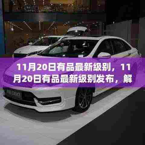 解读新升级背后的深层意义与影响,11月20日有品最新级别发布重磅来袭