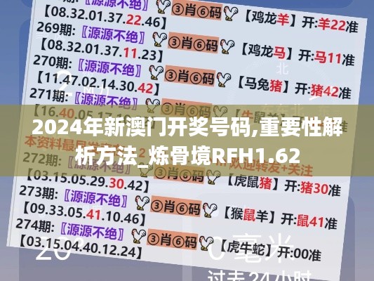 2024年新澳门开奖号码,重要性解析方法_炼骨境RFH1.62