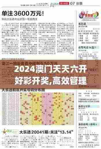 2024澳门天天六开好彩开奖,高效管理优化策略_数字处理版YAF5.45
