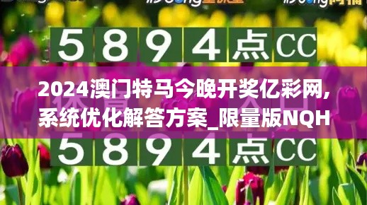 2024澳门特马今晚开奖亿彩网,系统优化解答方案_限量版NQH2.36