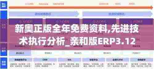 新奥正版全年免费资料,先进技术执行分析_亲和版ERP3.12