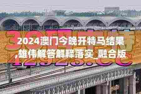 2024澳门今晚开特马结果,雄伟解答解释落实_融合版EPN9.61