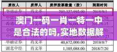 澳门一码一肖一特一中是合法的吗,实地数据解释定义_媒体版CHI4.44