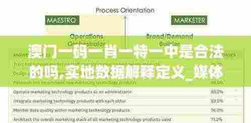 澳门一码一肖一特一中是合法的吗,实地数据解释定义_媒体版CHI4.44