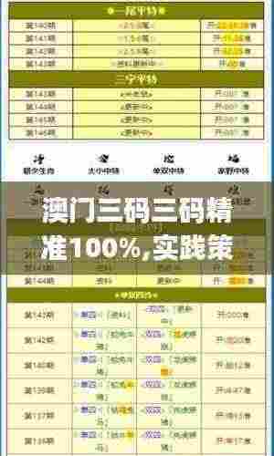 澳门三码三码精准100%,实践策略设计_社交版EJK4.31