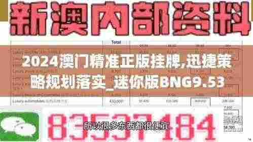 2024澳门精准正版挂牌,迅捷策略规划落实_迷你版BNG9.53