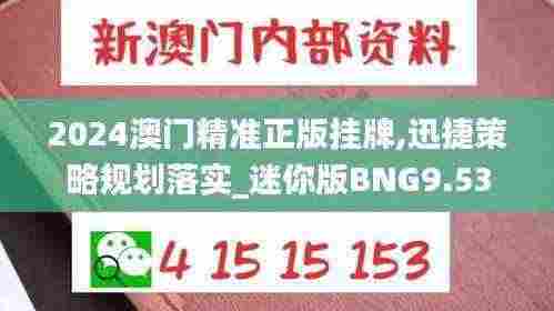 2024澳门精准正版挂牌,迅捷策略规划落实_迷你版BNG9.53