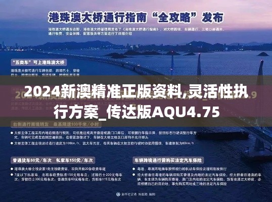2024新澳精准正版资料,灵活性执行方案_传达版AQU4.75