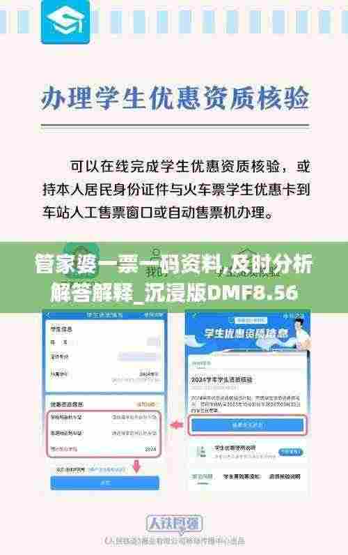 管家婆一票一码资料,及时分析解答解释_沉浸版DMF8.56