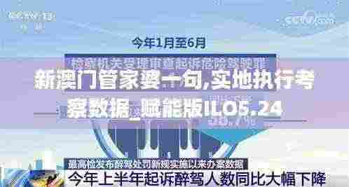 新澳门管家婆一句,实地执行考察数据_赋能版ILO5.24