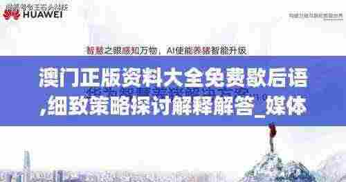 澳门正版资料大全免费歇后语,细致策略探讨解释解答_媒体宣传版NIE9.59