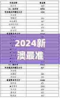 2024新澳最准最快资料,资源整合计划_毛坯版SEF4.62