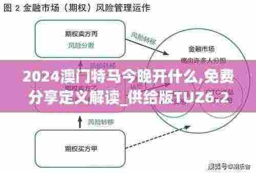2024澳门特马今晚开什么,免费分享定义解读_供给版TUZ6.21