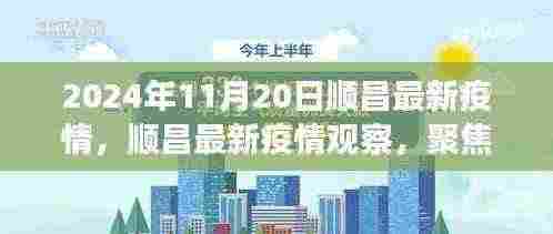 2024年11月20日顺昌疫情最新动态与观点博弈