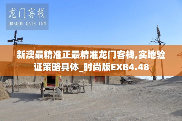 新澳最精准正最精准龙门客栈,实地验证策略具体_时尚版EXB4.48